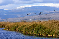 Mountains of Lebanon