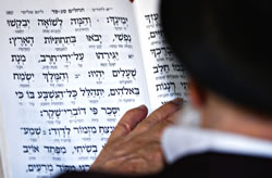 Reading the Torah