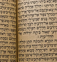 Pages of the Torah